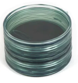 Fishpond Shallow MagPad Fly Puck