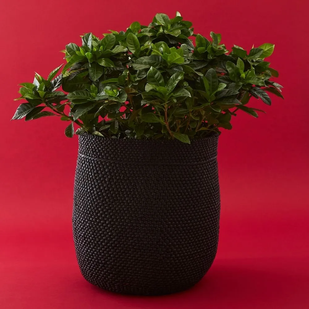 Medium Black Iringa Indoor Planter Toy Storage Woven Basket