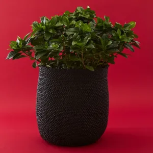 Medium Black Iringa Indoor Planter Toy Storage Woven Basket