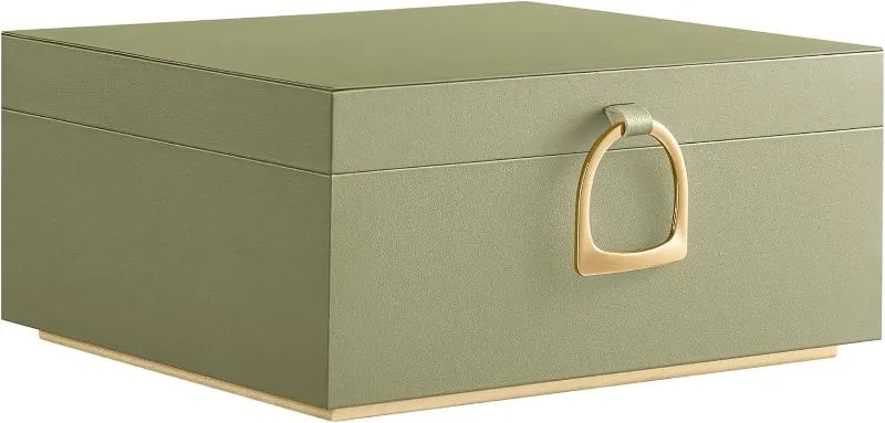 Two Layer Jewelry Organizer with Handle and Removable Jewelry Tray