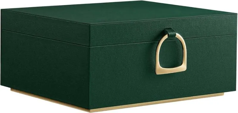 Two Layer Jewelry Organizer with Handle and Removable Jewelry Tray
