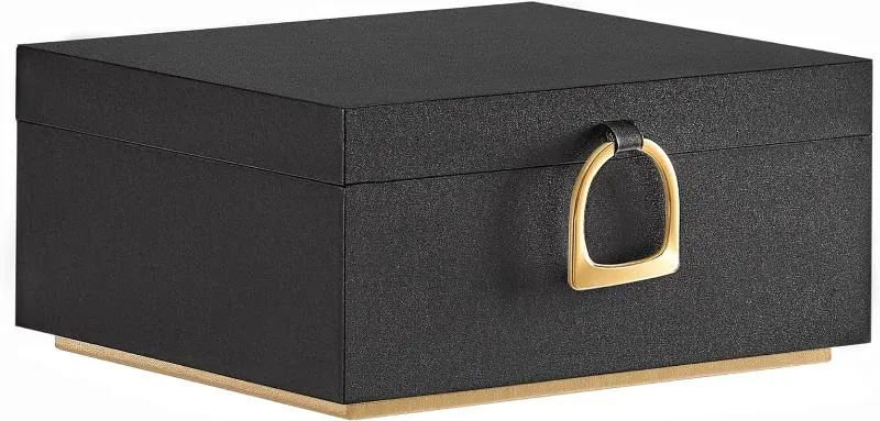 Two Layer Jewelry Organizer with Handle and Removable Jewelry Tray